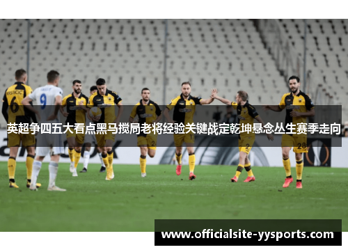 英超争四五大看点黑马搅局老将经验关键战定乾坤悬念丛生赛季走向 英超争四五大看点黑马搅局老将经验关键战定乾坤悬念丛生赛季走向