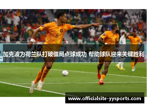 加克波为荷兰队打破僵局点球成功 帮助球队迎来关键胜利